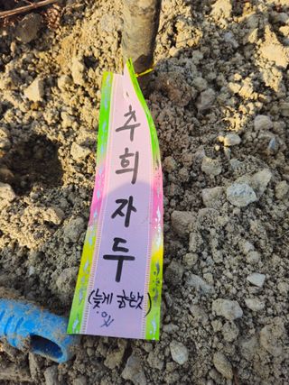 이무기님의 자유주제 · 자유게시판 작성글 사진