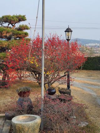 김종옥님의 자유주제 · 자유게시판 작성글 사진