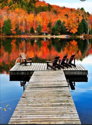 인생은 소풍처럼님의 자유주제 · 자유게시판 작성글 사진