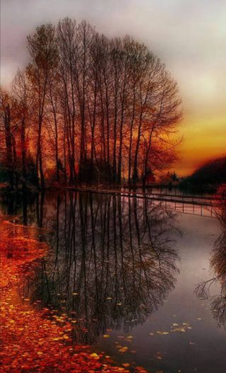 인생은 소풍처럼님의 자유주제 · 자유게시판 작성글 사진