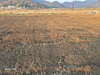 사천시향촌동 돼지띠님의 자유주제 · 자유게시판 작성글 사진