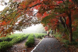 양김정숙님의 작성글 사진