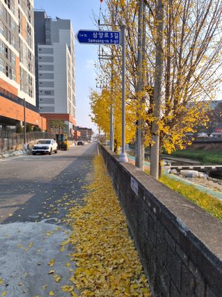 MSG0074님의 자유주제 · 자유게시판 작성글 사진