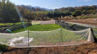 권리를위한투쟁님의 자유주제 · 자유게시판 작성글 사진