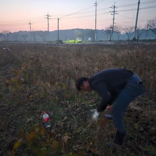 희찬모(정정자)님의 자유주제 · 자유게시판 작성글 사진