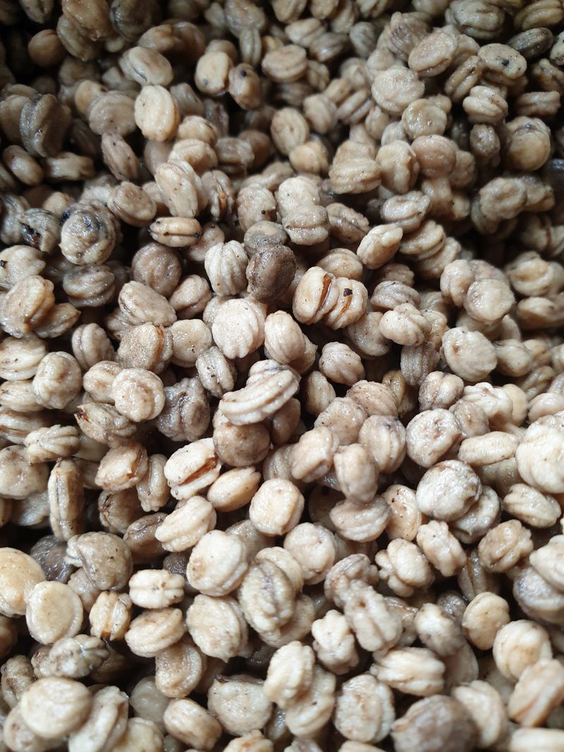 문제민님의 장터 판매 상품 [인삼씨 ] 첨부 사진