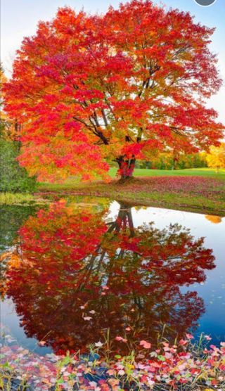 인생은 소풍처럼님의 자유주제 · 자유게시판 작성글 사진