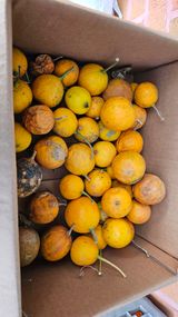 팜모닝 자유주제·자유게시판 게시글 이미지