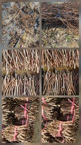 팜모닝 자유주제·자유게시판 게시글 이미지