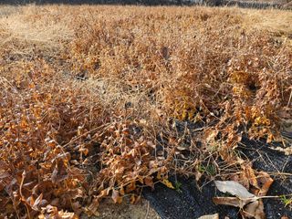 김용석님의 자유주제 · 자유게시판 작성글 사진