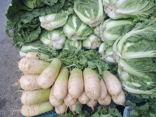 김기한님의 자유주제 · 자유게시판 작성글 사진