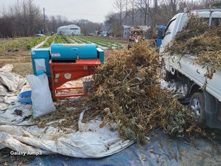 이천산수유3대농부님의 자유주제 · 자유게시판 작성글 사진