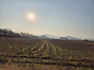 김영진(전남영광)님의 자유주제 · 자유게시판 작성글 사진