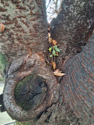 MSG0074님의 자유주제 · 자유게시판 작성글 사진