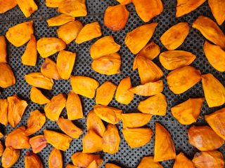 대봉매실 인생이막님의 작성글 사진