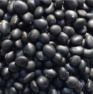 인생은 소풍처럼님의 자유주제 · 자유게시판 작성글 사진