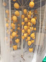 팜모닝 · 게시글 이미지