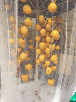 모니카님의 작성글 사진