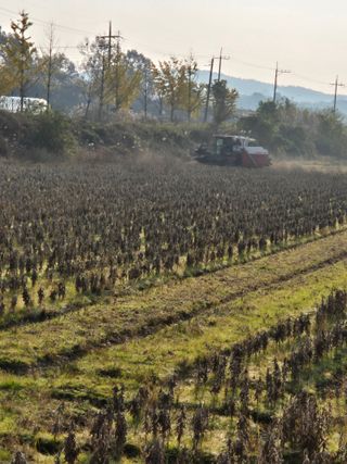 김영진(전남영광)님의 자유주제 · 자유게시판 작성글 사진
