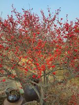 팜모닝 자유주제·자유게시판 게시글 이미지