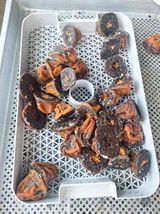 팜모닝 자유주제·자유게시판 게시글 이미지