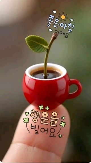 이천산수유3대농부님의 작성글 사진