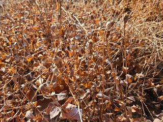 김용석님의 자유주제 · 자유게시판 작성글 사진