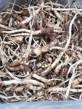 팜모닝 자유주제·자유게시판 게시글 이미지