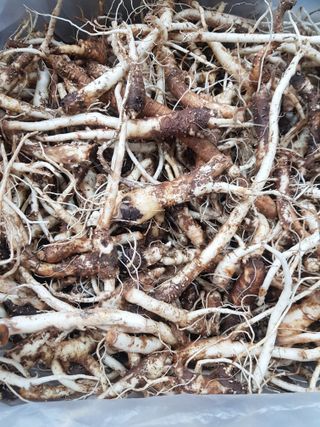 토마토님의 자유주제 · 자유게시판 작성글 사진