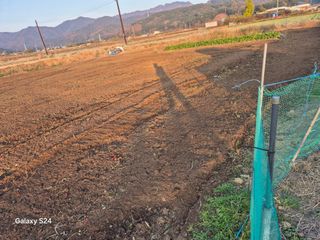 사천시향촌동 돼지띠님의 자유주제 · 자유게시판 작성글 사진