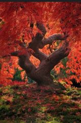 팜모닝 자유주제·자유게시판 게시글 이미지