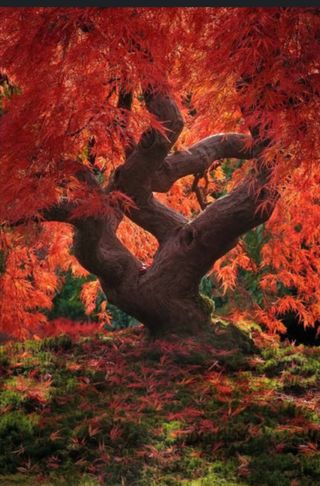 인생은 소풍처럼님의 자유주제 · 자유게시판 작성글 사진