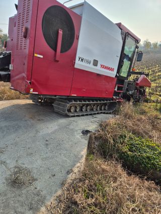 김영진(전남영광)님의 자유주제 · 자유게시판 작성글 사진