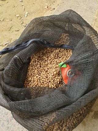 문제민님의 작성글 사진