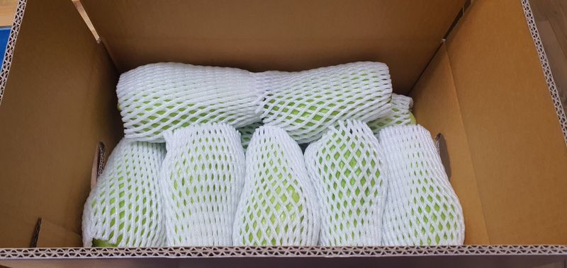 상주잡초농부 님의 장터 판매 상품 [차요테5kg] 첨부 사진