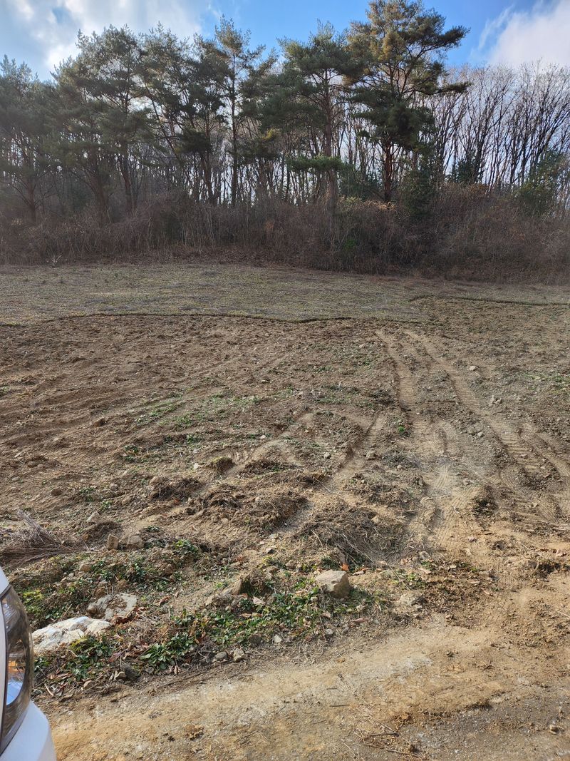 윤미선(농경채인증님의 장터 판매 상품 [더덕 4키로 ] 첨부 사진
