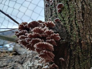 해맑은하늘님의 자유주제 · 자유게시판 작성글 사진