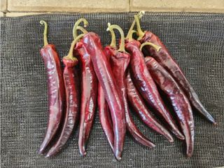 대산농사대장님의 작성글 사진