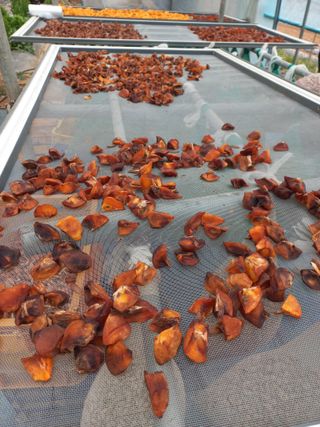 박린님의 자유주제 · 자유게시판 작성글 사진