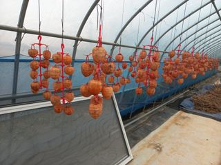 박린님의 자유주제 · 자유게시판 작성글 사진