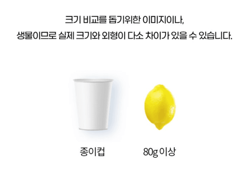 스피드번님의 장터 판매 상품 [제주 레몬] 첨부 사진