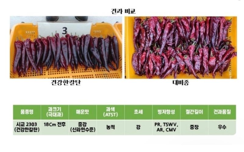 대산농사대장님의 장터 판매 상품 [건강한칼탄1200립] 첨부 사진