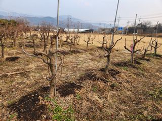 최상길 님의 자유주제 · 자유게시판 작성글 사진