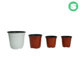 팜모닝 · 게시글 이미지