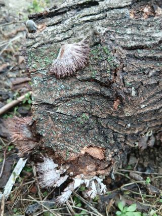 해맑은하늘님의 자유주제 · 자유게시판 작성글 사진