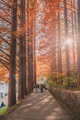 팜모닝 · 게시글 이미지