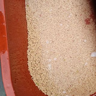 모두팜님의 작성글 사진