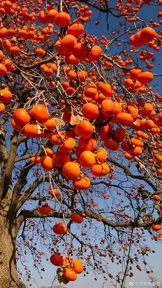 안길원님의 자유주제 · 자유게시판 작성글 사진