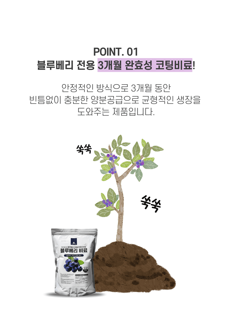 신탄진농약비료마트님의 장터 판매 상품 [블루베리비료 2.5kg 블루베리 전용 3개월 완효성 코팅 알갱이비료] 첨부 사진