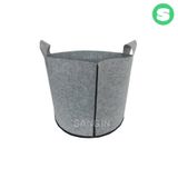 팜모닝 · 게시글 이미지